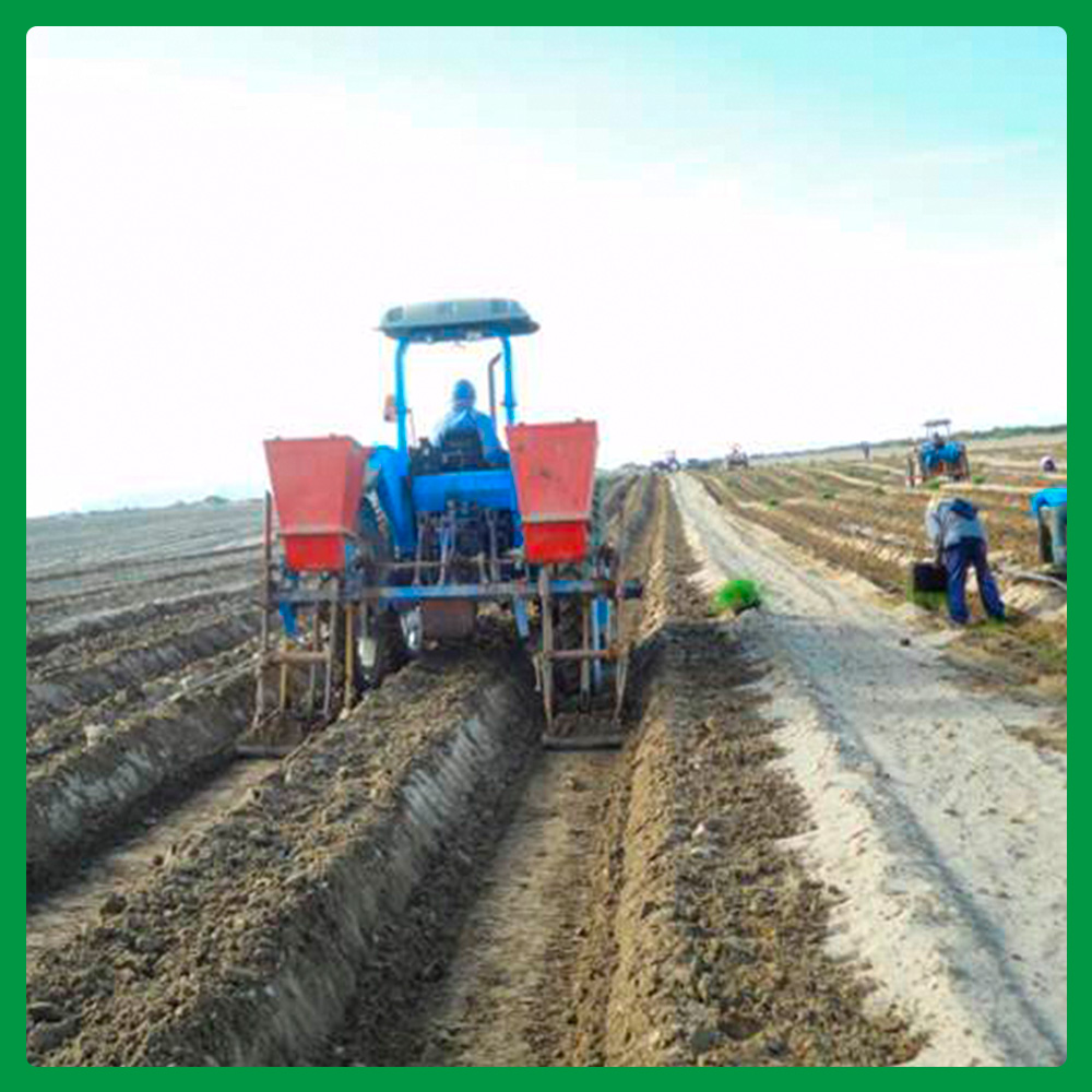 Started with 123 hectares in the EPE I